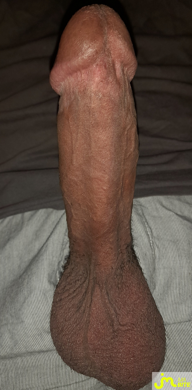bites de Éricoupe75