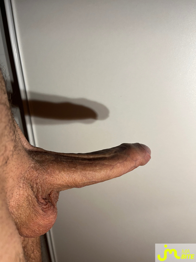 bites de Fanfans