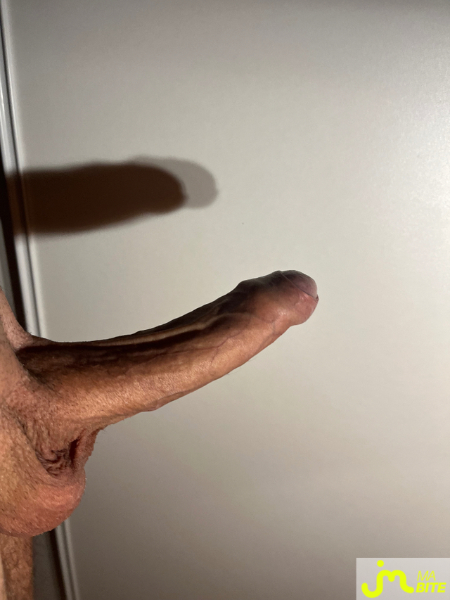 bites de Fanfans