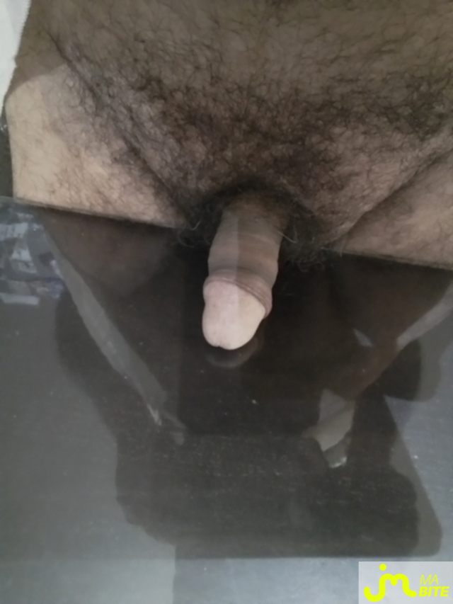 bites de Schnekie