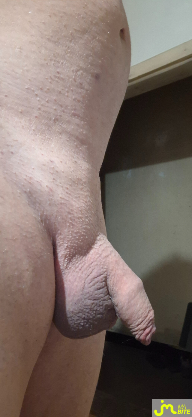 bites de Philocul