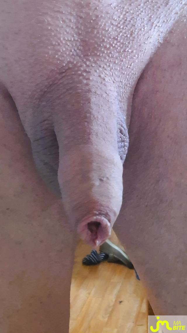 bites de Philocul