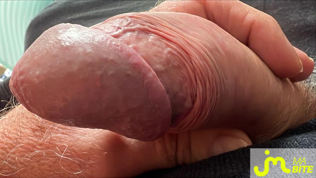 bites de close_up_zizi