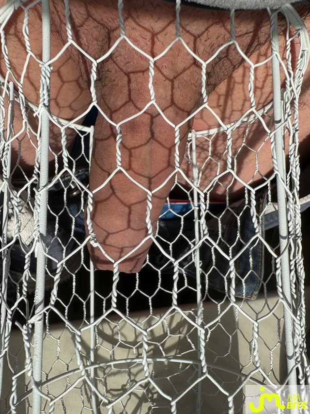 bites de Toute première