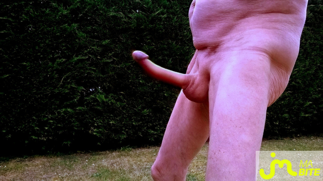 bites de Vxmâlebi46