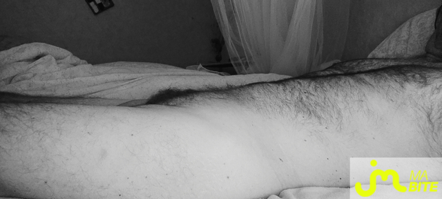 bites de Jeocruz3419