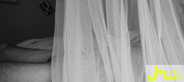 bites de Jeocruz3419