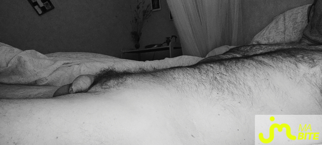 bites de Jeocruz3419