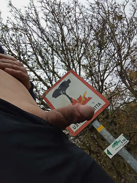 Photos de bites : Balade du jour