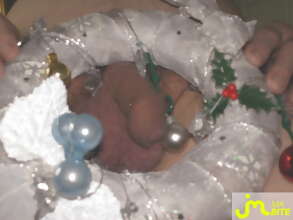 Photos de bites : Bon No&euml;l !