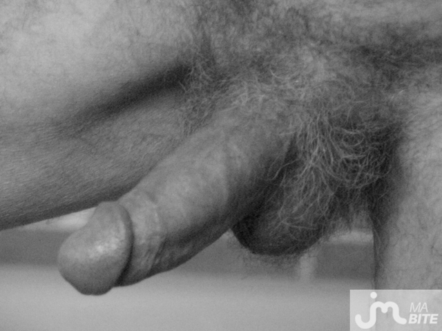bites de 4fun