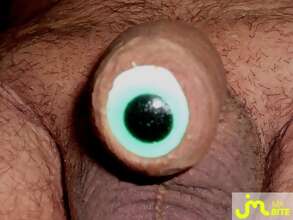 Photos de bites : l'oeil de ma conscience