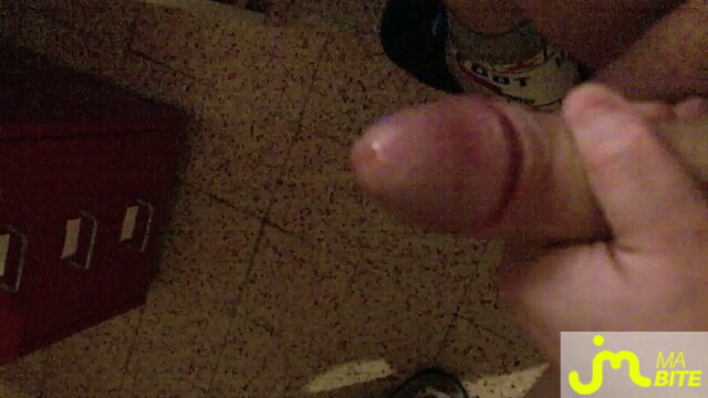 bites de lemigou