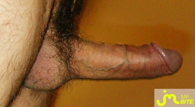 bites de loulou.coquin 