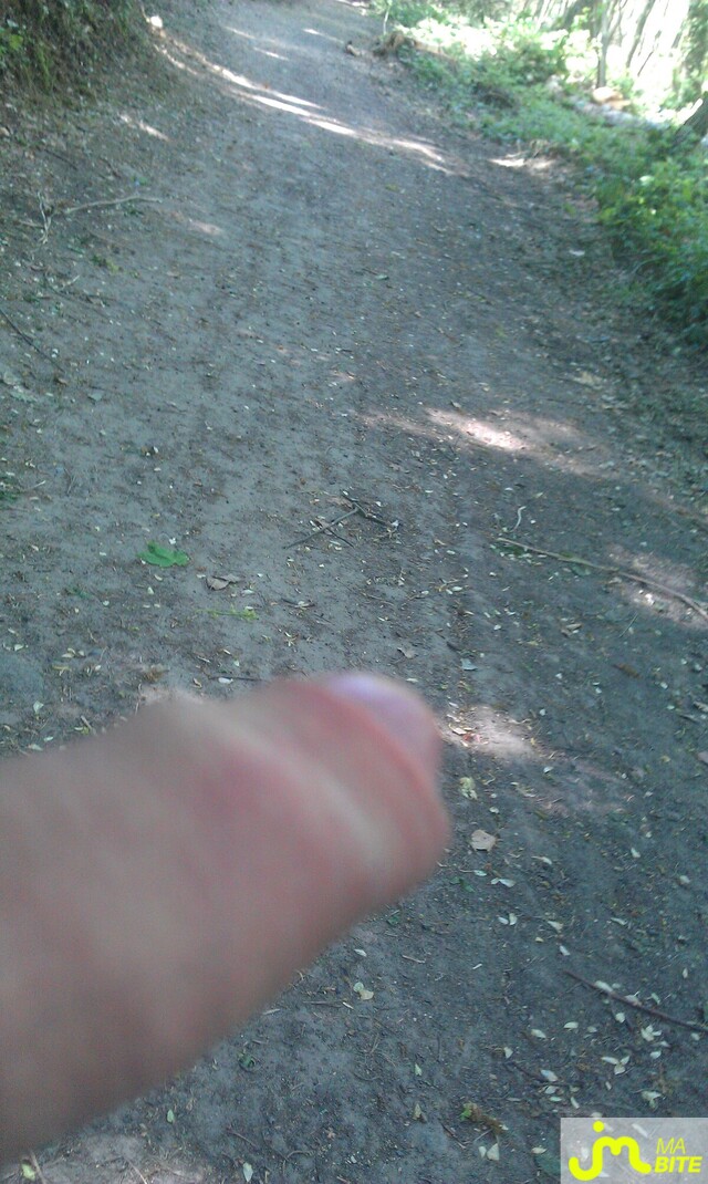 bites de bicurieu
