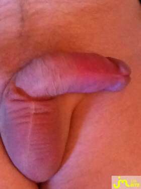Photos de bites : Ma queue dans tout ses &eacute;tats
