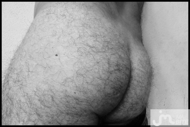 bites de drewmeyer