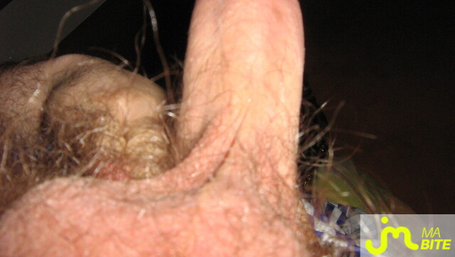 bites de hmhmmm