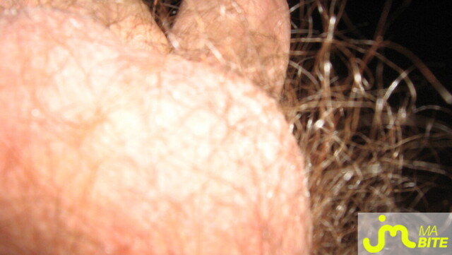 bites de hmhmmm