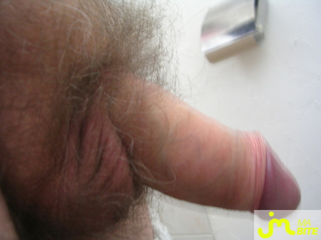 bites de Guy