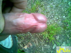 Photos de bites : 4 eme contrib