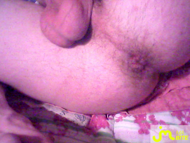 bites de chonis