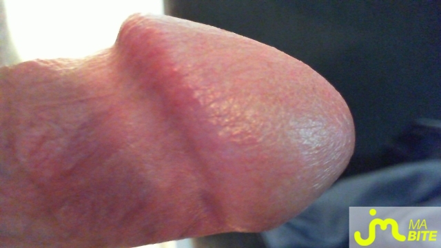 bites de MateoFalcone