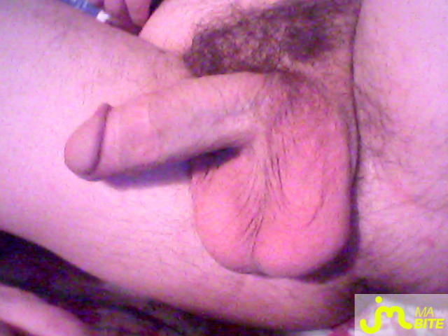 bites de chonis