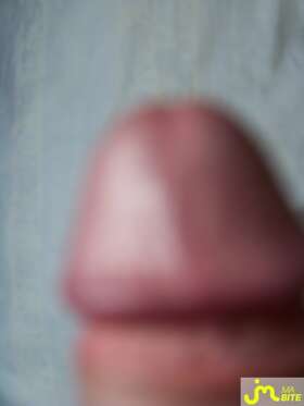 Photos de bites : ma verge