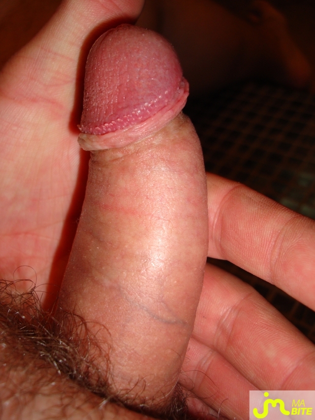 bites de ericx