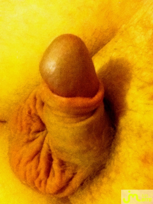 bites de tch&eacute;tch&eacute;46