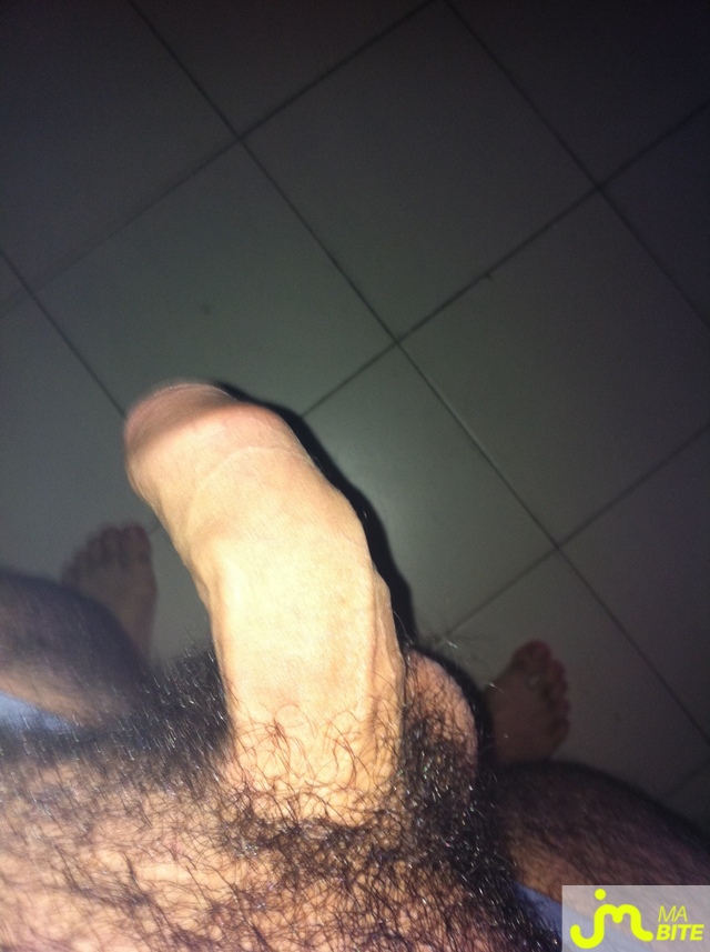 bites de mec34