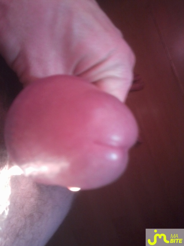 bites de bobi