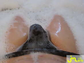Photos de bites : dans mon bain