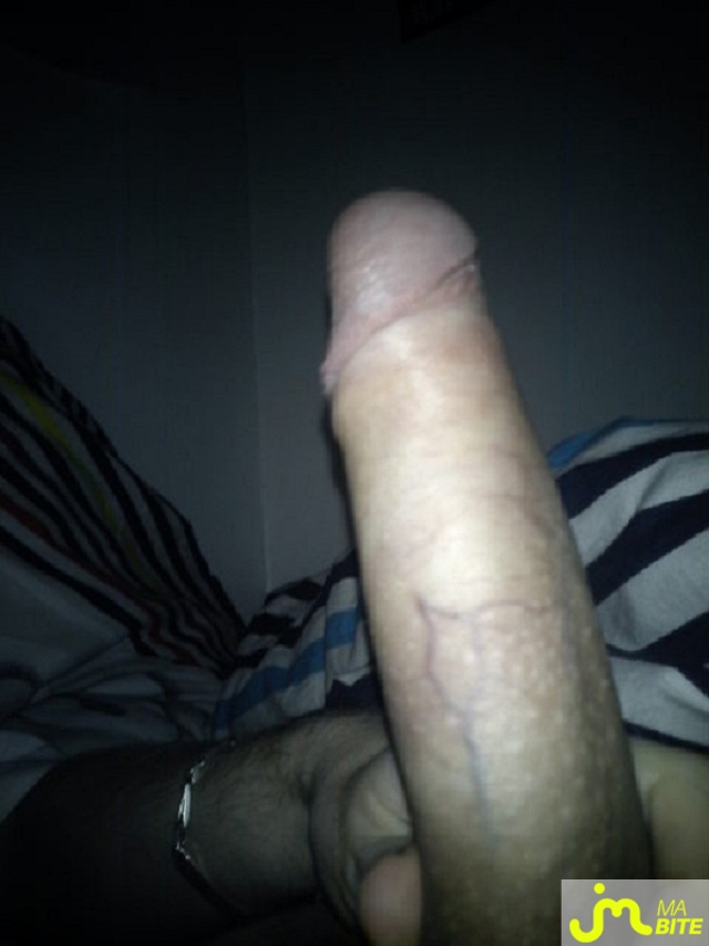 bites de mm445