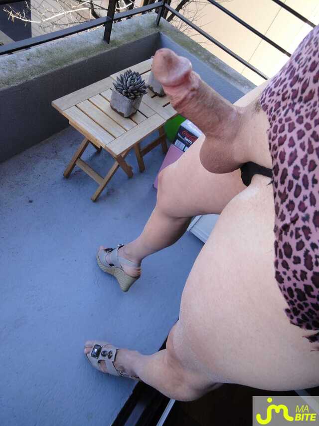 bites de petitminou