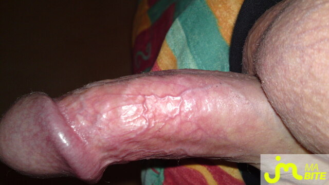 bites de oliv49