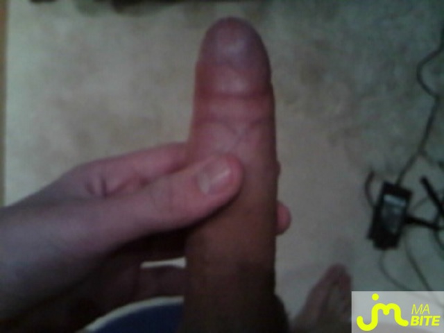 bites de Coquin40