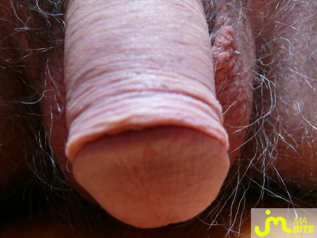 bites de maealpa48