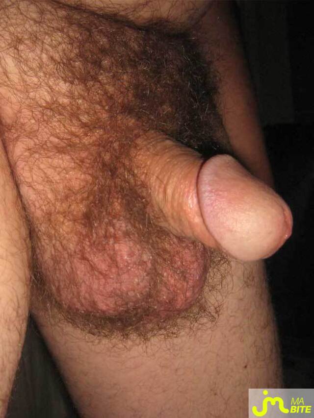 bite de 23 cm couilles poilues bite de 23 cm couilles poilues