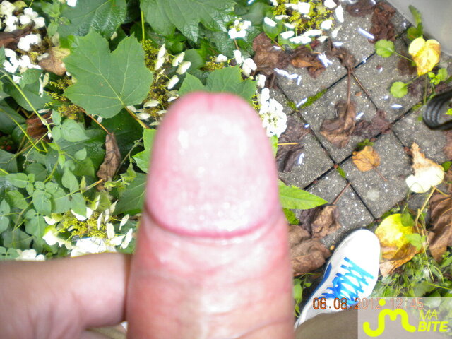 bites de p'titebit