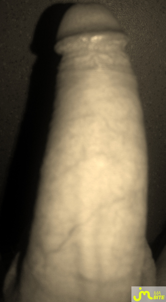 bites de fish5962