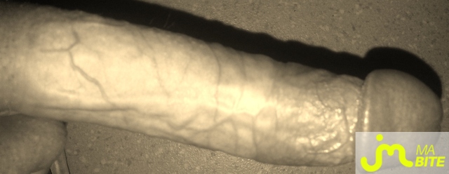 bites de fish5962
