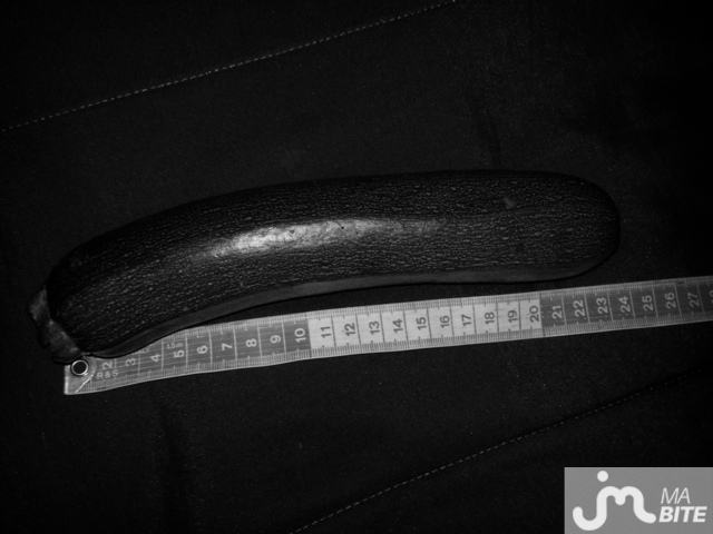 bite de 22 cm webcam grosse bite bite de 22 cm webcam grosse bite