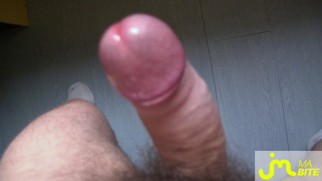 bites de maxx