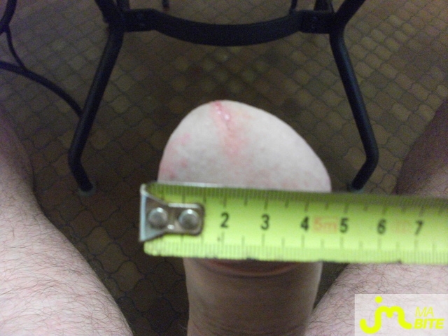 bites de nono8549