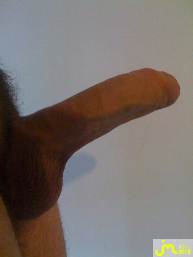 bites de exhibexotique