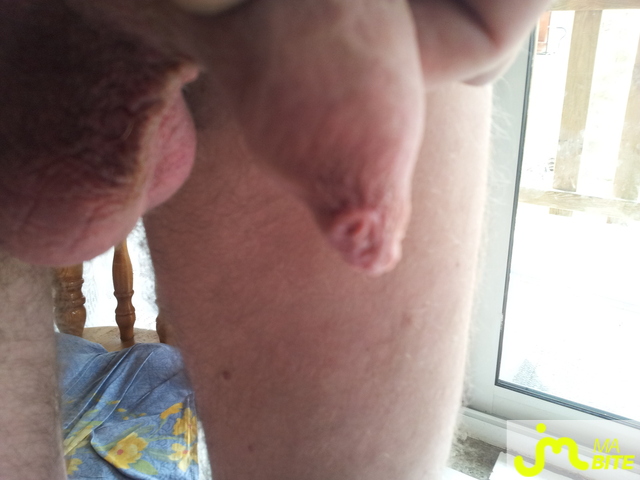 bites de bobi