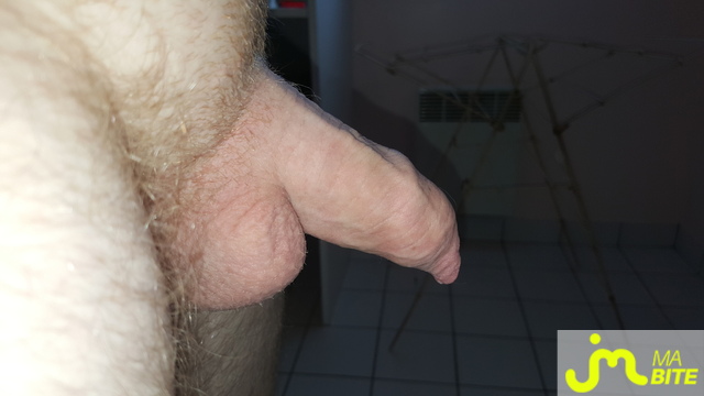 bites de biteRas&eacute;