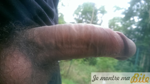 bites de TheBigDick77